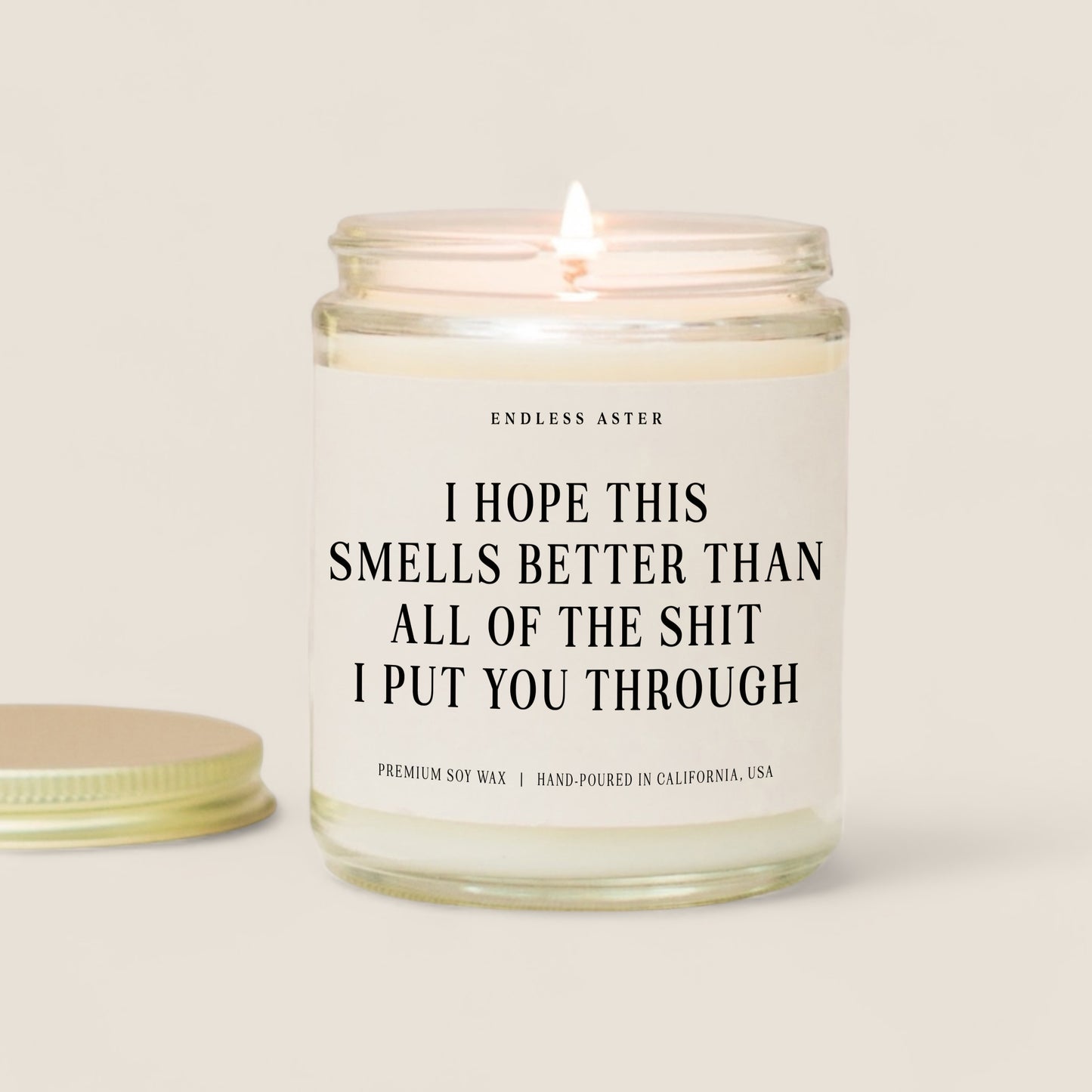 Smells Better Than All Of The Shit I Put You Through Candle