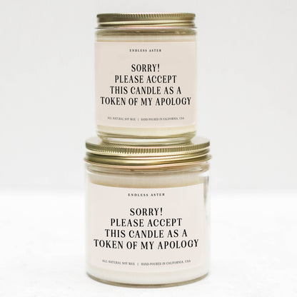 Sorry! Please Accept This Candle As A Token Of My Apology Candle