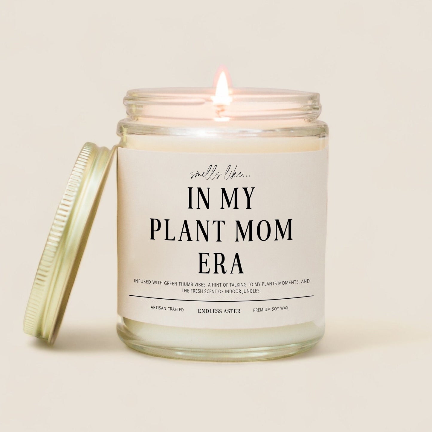 Plant Mom Gift "In My Plant Mom Era" Candle Gift Box for Her, Plant Lady Birthday Present for Friend, Indoor House Plant Lover Gift